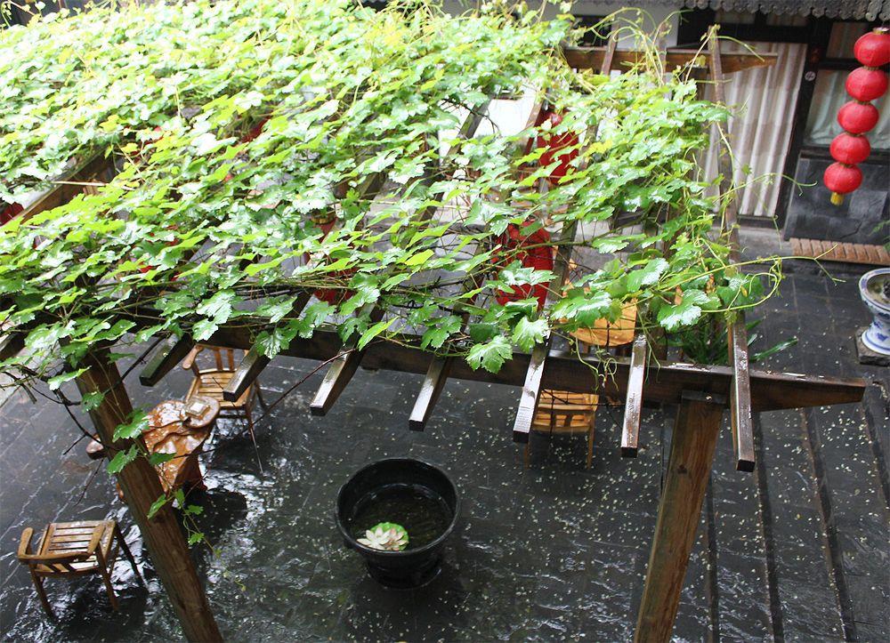 Hill Lily Courtyard Hotel Beijing Exterior photo
